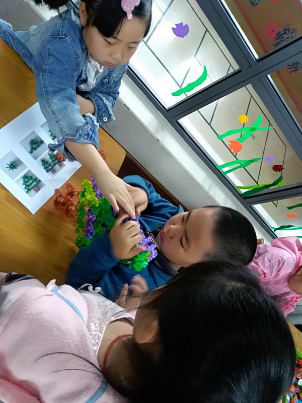 我们是大1班的曾子越、孟梓萱、金晓冉，我们在合作搭建我们的小树木。